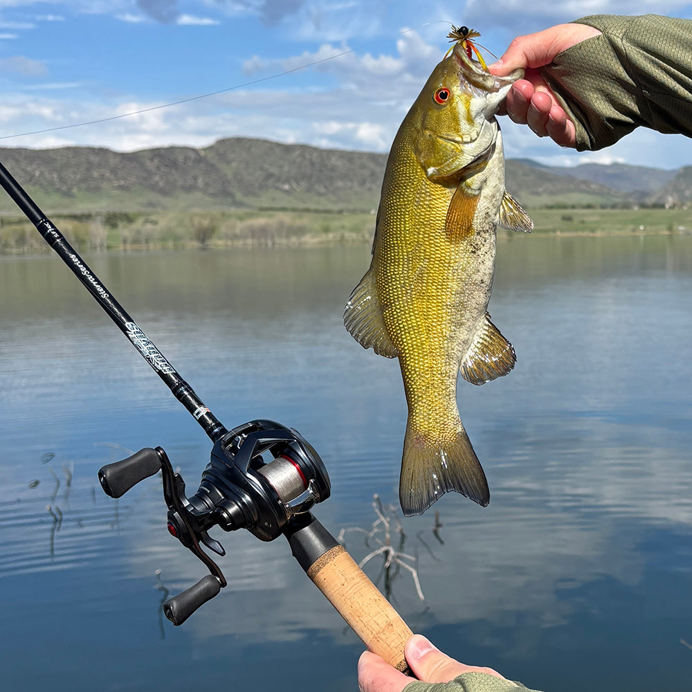 bfs fishing lures Hunt Rods poured BFS creature bait built for finesse bass fishing Insane Summer BFS Fishing! Finesse