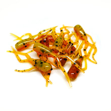 Load image into Gallery viewer, Cajun - Moon Bug