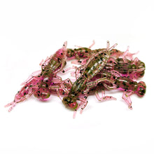 Load image into Gallery viewer, Chameleon - Dragonfly Larvae