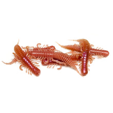 Load image into Gallery viewer, Earthworm - Pond Parasite