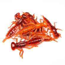 Load image into Gallery viewer, Fire Craw - Dragonfly Larvae