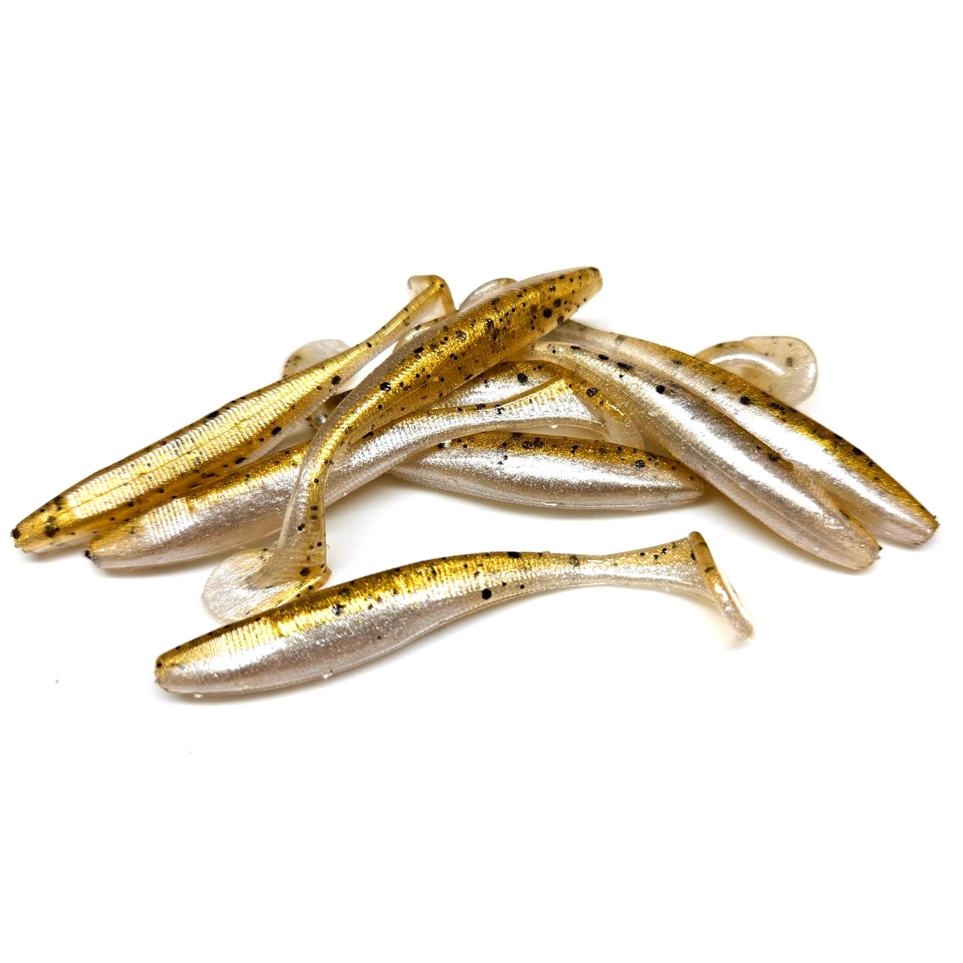 Gold Shiner
