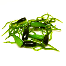 Load image into Gallery viewer, Green Pumpkin/Chartreuse - Moon Bug