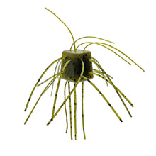 Load image into Gallery viewer, Pumpkin - Lucky Dice