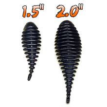 Load image into Gallery viewer, Gold Shiner - Micro Gill