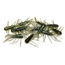 Load image into Gallery viewer, Pond Scum - Scuttle Bug