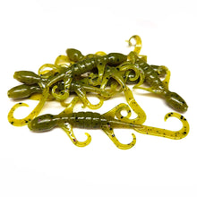 Load image into Gallery viewer, Pumpkin - Lil' Lizard