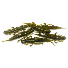 Load image into Gallery viewer, Pumpkin - Pond Parasite