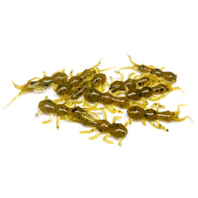 Load image into Gallery viewer, Pumpkin - Stonefly Larvae