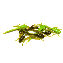 Load image into Gallery viewer, Pumpkin Chartreuse - Boujee Bug