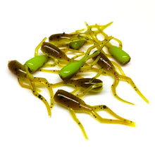 Load image into Gallery viewer, Pumpkin Chartreuse - Moon Bug