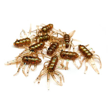 Load image into Gallery viewer, Swamp Bug - Micro Spider Monkeys
