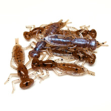 Load image into Gallery viewer, Musk - Dragonfly Larvae