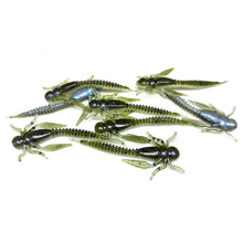 Load image into Gallery viewer, The Shizzle - Boujee Bug