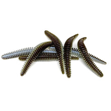 Load image into Gallery viewer, The Shizzle - Jeddi Worm