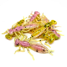 Load image into Gallery viewer, Zombie Chicken - Dragonfly Larvae