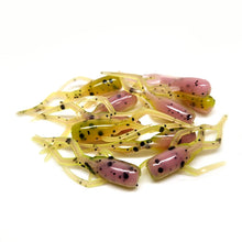 Load image into Gallery viewer, Zombie Chicken - Moon Bug