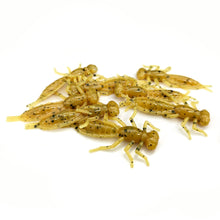 Load image into Gallery viewer, Zombie Skin - Dragonfly Larvae