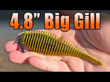 Load and play video in Gallery viewer, Bone White - Big Gill