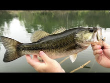 Load and play video in Gallery viewer, Pissin&#39; Minnow - Micro Spin Jig
