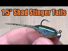 Load and play video in Gallery viewer, Crappie Minnow - Shad Stinger Tails