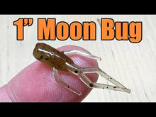 Load and play video in Gallery viewer, Pumpkin Chartreuse - Moon Bug
