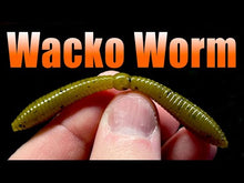 Load and play video in Gallery viewer, Crawdiddy - Wacko Worm