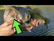 Load and play video in Gallery viewer, Swamp Fly - Dragon Slayer - 4/pk