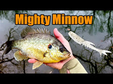 Load and play video in Gallery viewer, Mardi Gras - Mighty Minnow
