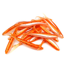 Load image into Gallery viewer, Goldfish - Split-Tail Minnow