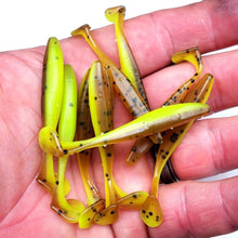 Load image into Gallery viewer, Pumpkin Chartreuse - Slim Shad Minnow