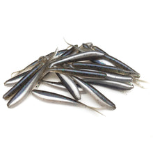 Load image into Gallery viewer, Mojo - Split-Tail Minnow