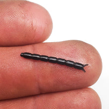 Load image into Gallery viewer, Black - Bloodworm 1"