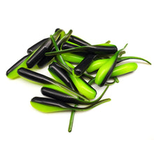 Load image into Gallery viewer, Neon Ninja - Shad Stinger Tails