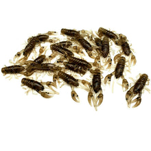 Load image into Gallery viewer, Brown Crawdad - 1" Micro Craw