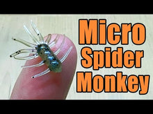 Load and play video in Gallery viewer, Black - Micro Spider Monkeys
