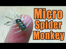 Load and play video in Gallery viewer, Black - Micro Spider Monkeys