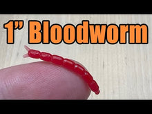 Load and play video in Gallery viewer, Black - Bloodworm 1&quot;
