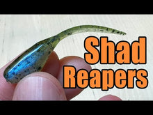 Load and play video in Gallery viewer, Cajun Reaper - Shad Reapers
