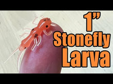 Load and play video in Gallery viewer, Black - Stonefly Larvae