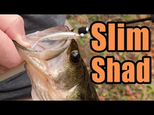 Load and play video in Gallery viewer, Yellow Perch - Slim Shad Minnow