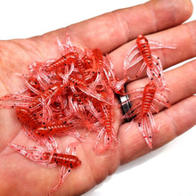 Load image into Gallery viewer, Red - Scuttle Bug