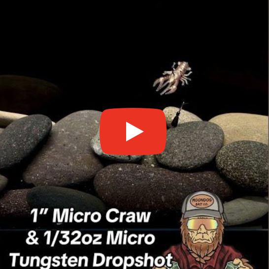 1" Micro Craw in Swamp Crawdad Color and a 1/32oz Micro Tungsten Dropshot