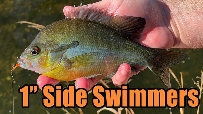 1" Micro Side Swimmers