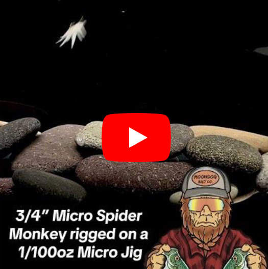 3/4" Micro Spider Monkey in Bone White rigged on a 1/100oz Micro Jighead
