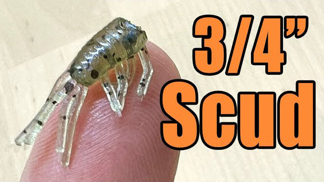 3/4" Scud Micro Ice Fishing Soft Plastic