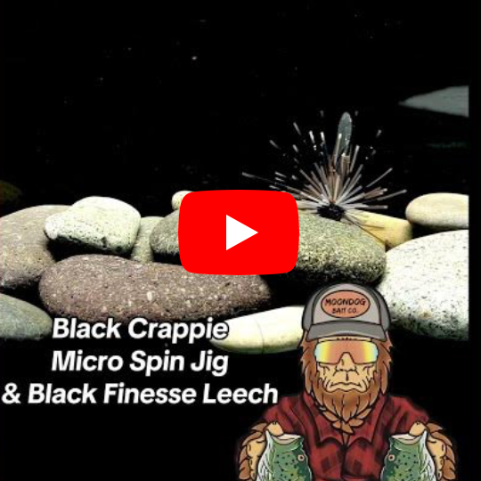 Black Crappie Micro Spin Jig and Black Finesse Leech Combo