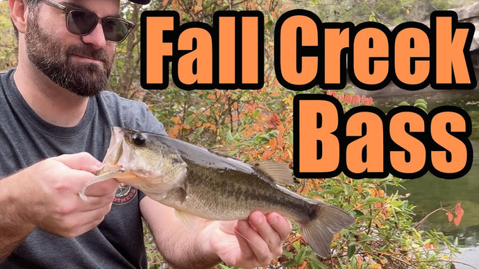 Fall Creek Bass - Micro Finesse Ultralight Fishing - Slim Shad Minnow