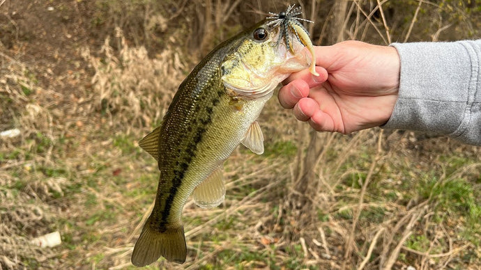 Fishing a Slim Shad & Spin Jig for Winter Creek Bass