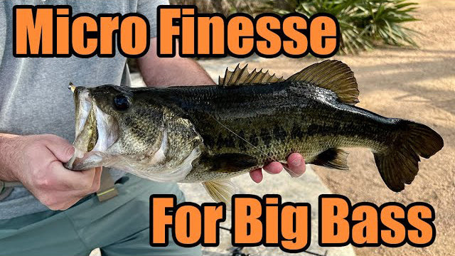 Micro Finesse Fishing For Huge Bass